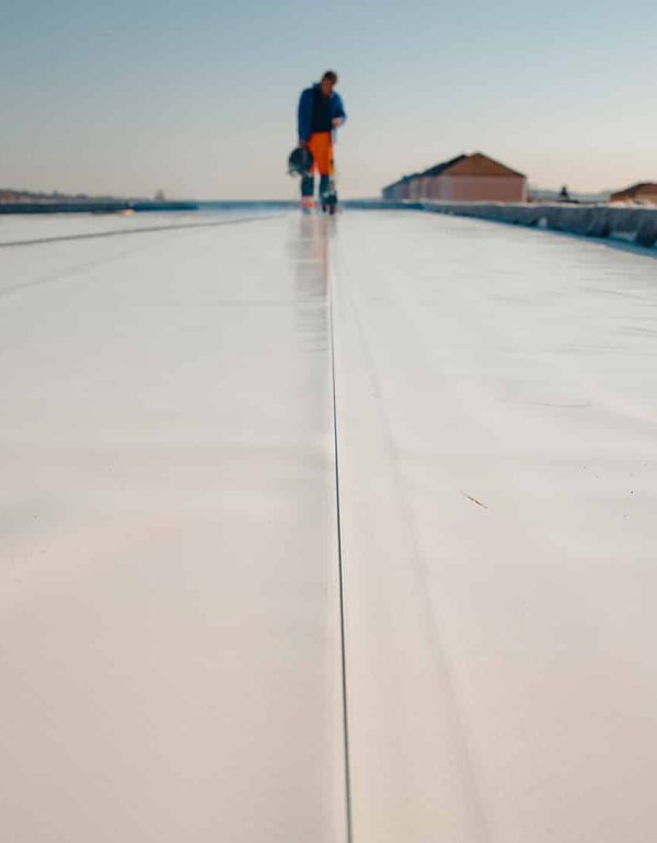 professional roofing services